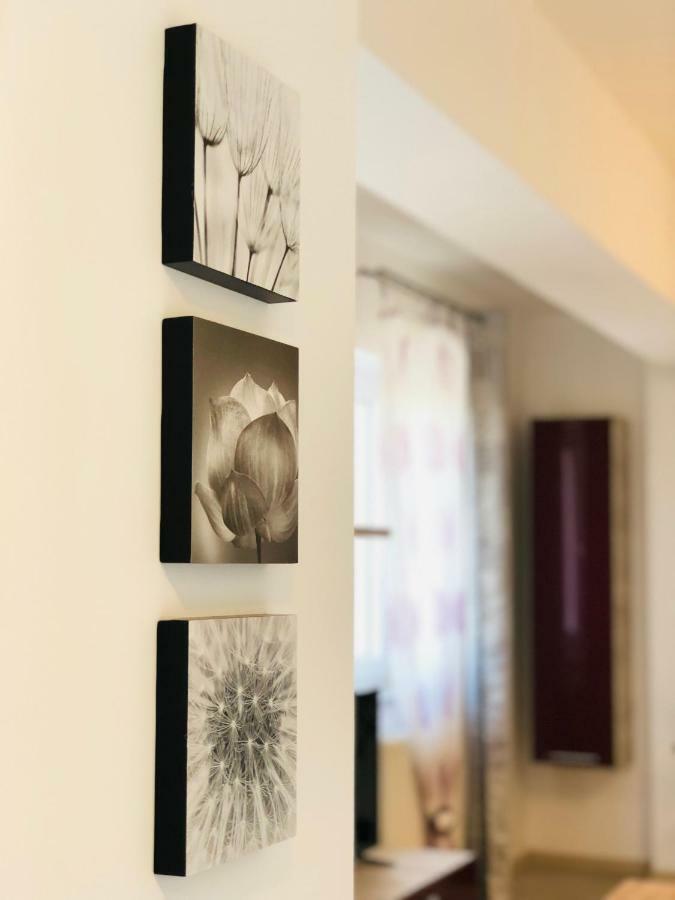 Eme Apartments Braşov Esterno foto